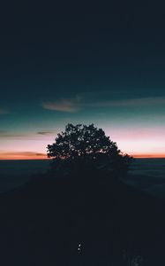 Preview wallpaper tree, hill, sunset, horizon