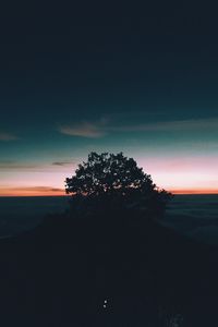 Preview wallpaper tree, hill, sunset, horizon