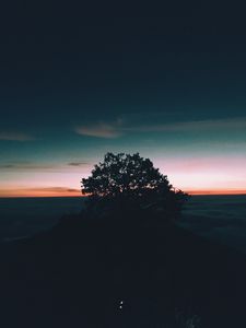 Preview wallpaper tree, hill, sunset, horizon