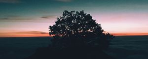 Preview wallpaper tree, hill, sunset, horizon