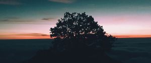 Preview wallpaper tree, hill, sunset, horizon