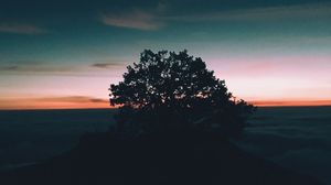 Preview wallpaper tree, hill, sunset, horizon