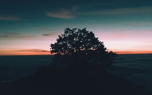 Preview wallpaper tree, hill, sunset, horizon