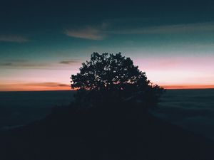 Preview wallpaper tree, hill, sunset, horizon