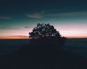 Preview wallpaper tree, hill, sunset, horizon
