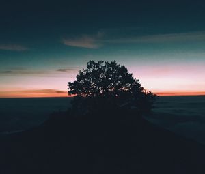 Preview wallpaper tree, hill, sunset, horizon