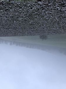 Preview wallpaper tree, hills, fog, landscape, nature