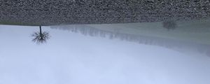 Preview wallpaper tree, hills, fog, landscape, nature