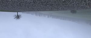 Preview wallpaper tree, hills, fog, landscape, nature