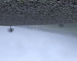 Preview wallpaper tree, hills, fog, landscape, nature