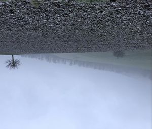 Preview wallpaper tree, hills, fog, landscape, nature