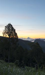 Preview wallpaper tree, hills, mountains, sunset, grass, nature