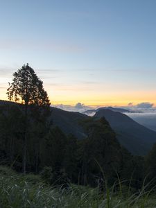 Preview wallpaper tree, hills, mountains, sunset, grass, nature