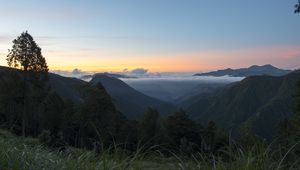Preview wallpaper tree, hills, mountains, sunset, grass, nature