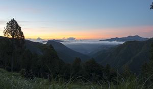 Preview wallpaper tree, hills, mountains, sunset, grass, nature