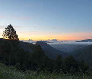 Preview wallpaper tree, hills, mountains, sunset, grass, nature