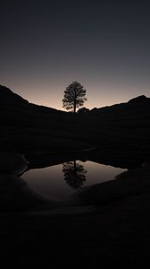 Preview wallpaper tree, hills, pond, reflection, dark