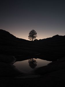 Preview wallpaper tree, hills, pond, reflection, dark