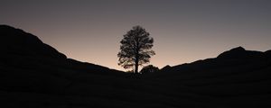 Preview wallpaper tree, hills, pond, reflection, dark