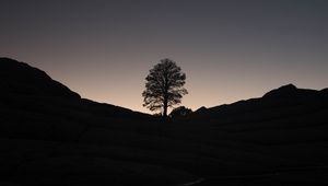 Preview wallpaper tree, hills, pond, reflection, dark