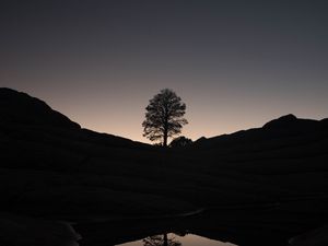 Preview wallpaper tree, hills, pond, reflection, dark