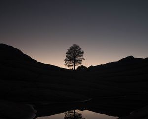 Preview wallpaper tree, hills, pond, reflection, dark