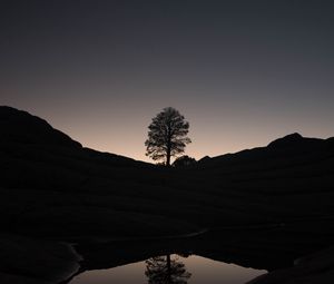 Preview wallpaper tree, hills, pond, reflection, dark