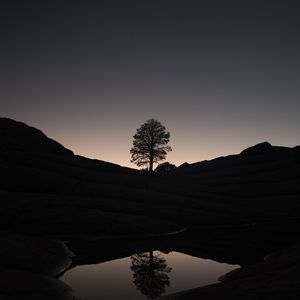 Preview wallpaper tree, hills, pond, reflection, dark