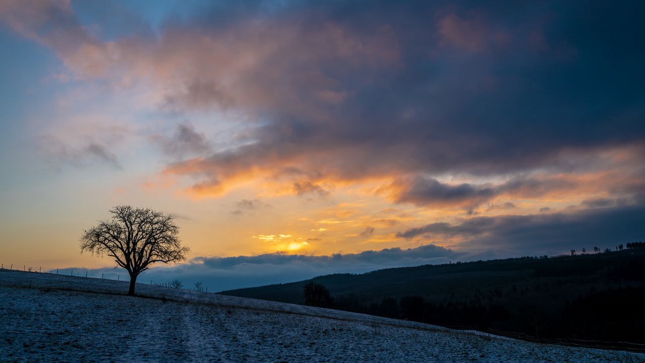 Wallpaper tree, hills, sky, clouds, nature