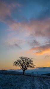 Preview wallpaper tree, hills, sky, clouds, nature