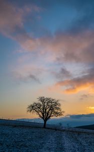 Preview wallpaper tree, hills, sky, clouds, nature