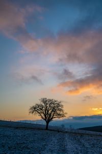 Preview wallpaper tree, hills, sky, clouds, nature