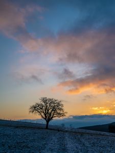 Preview wallpaper tree, hills, sky, clouds, nature