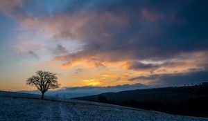 Preview wallpaper tree, hills, sky, clouds, nature