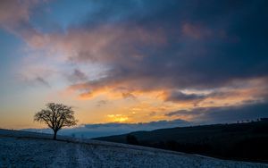 Preview wallpaper tree, hills, sky, clouds, nature