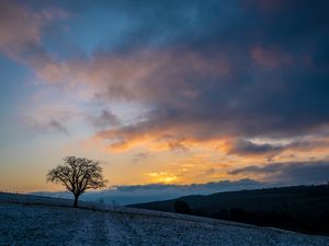 Preview wallpaper tree, hills, sky, clouds, nature