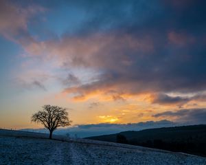 Preview wallpaper tree, hills, sky, clouds, nature