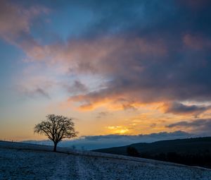 Preview wallpaper tree, hills, sky, clouds, nature