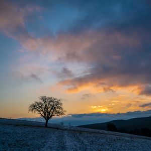 Preview wallpaper tree, hills, sky, clouds, nature