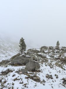 Preview wallpaper tree, hills, snow, fog, nature, landscape