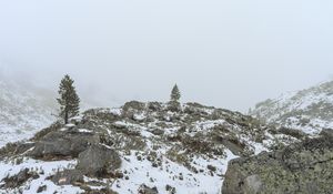 Preview wallpaper tree, hills, snow, fog, nature, landscape