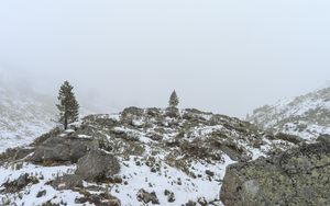 Preview wallpaper tree, hills, snow, fog, nature, landscape