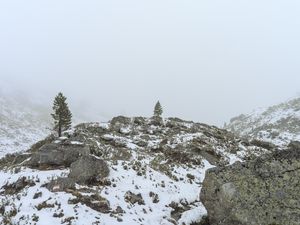 Preview wallpaper tree, hills, snow, fog, nature, landscape