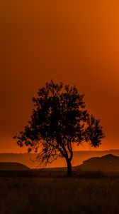 Preview wallpaper tree, hills, sunset, horizon, landscape
