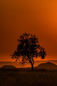 Preview wallpaper tree, hills, sunset, horizon, landscape