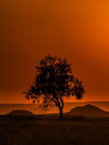 Preview wallpaper tree, hills, sunset, horizon, landscape