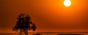 Preview wallpaper tree, hills, sunset, horizon, landscape
