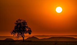 Preview wallpaper tree, hills, sunset, horizon, landscape