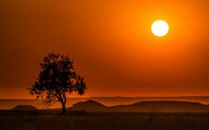 Preview wallpaper tree, hills, sunset, horizon, landscape