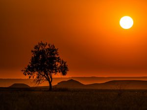 Preview wallpaper tree, hills, sunset, horizon, landscape